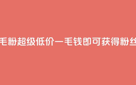 低价Ks一毛1000粉(超级低价，一毛钱即可获得1000粉丝) 第1张