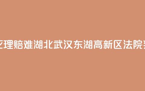 一男子网上投保后猝死理赔难 湖北武汉东湖高新区法院判决保险公司赔付30万元 第1张 一男子网上投保后猝死理赔难 湖北武汉东湖高新区法院判决保险公司赔付30万元 第1张