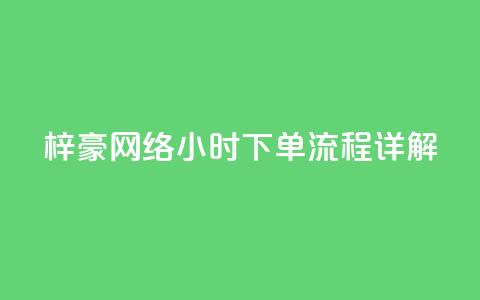 梓豪网络24小时下单流程详解,快手双击24h下单网站 - 快手卖赞软件 dy业务自助下单软件 第1张