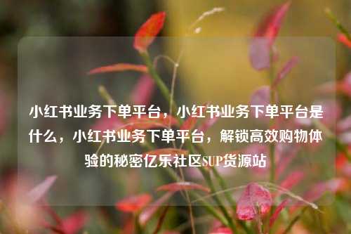 小红书业务下单平台，小红书业务下单平台是什么	，小红书业务下单平台，解锁高效购物体验的秘密亿乐社区SUP货源站  第1张