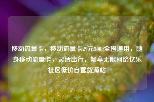 移动流量卡，移动流量卡29元300g全国通用	，随身移动流量卡，灵活出行，畅享无限网络亿乐社区低价自营货源站  第1张