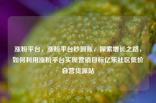 涨粉平台，涨粉平台秒到账	，探索增长之路，如何利用涨粉平台实现营销目标亿乐社区低价自营货源站  第1张